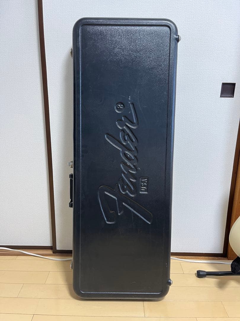 【レア初期 】アッシュボディフェンダー USA アメスタ 1999