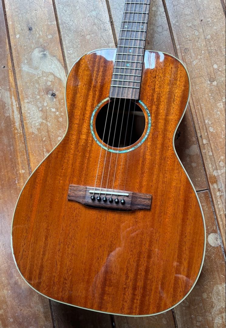 エレアコ DCT F-200E Fishman搭載