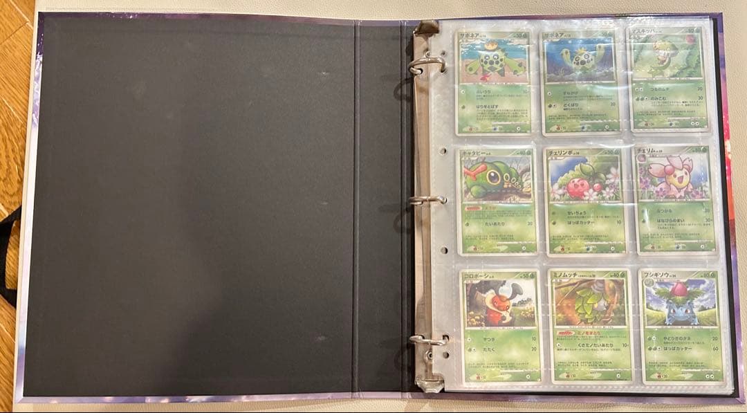 ポケモンカード コレクションファイル 怒りの神殿 レジェンドエネルギー