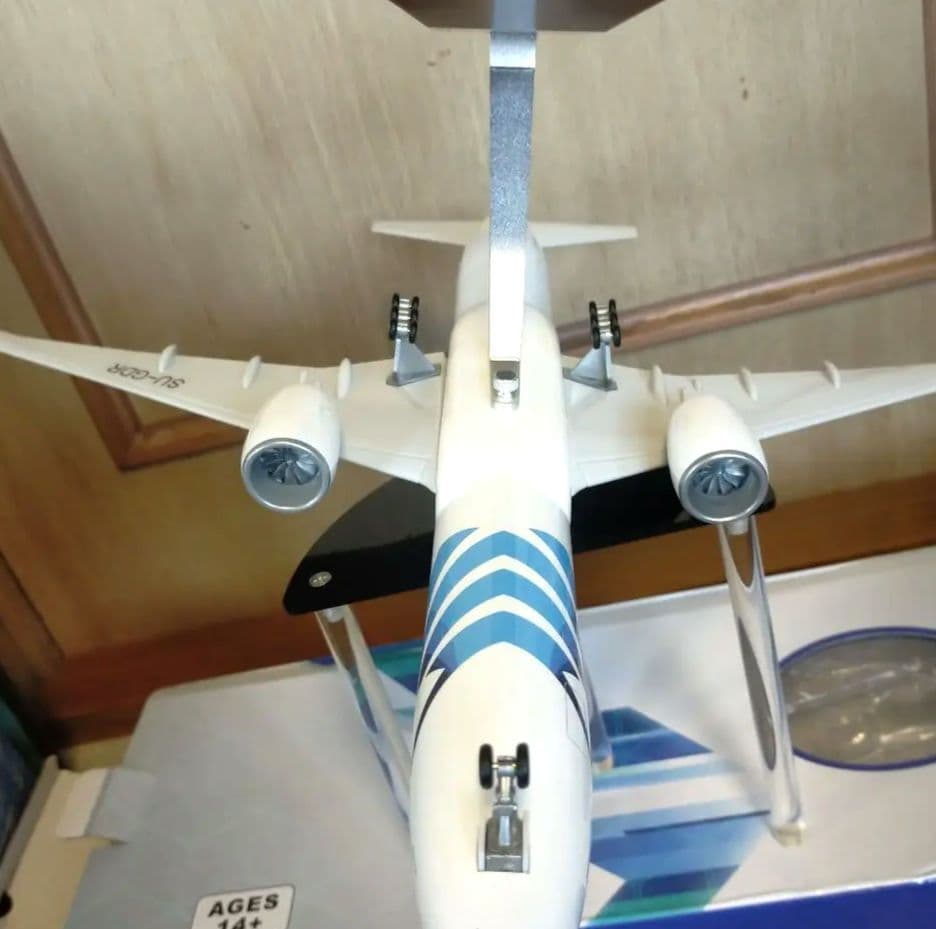 3/1 new!! エジプトAir／Boeing777 カイロ