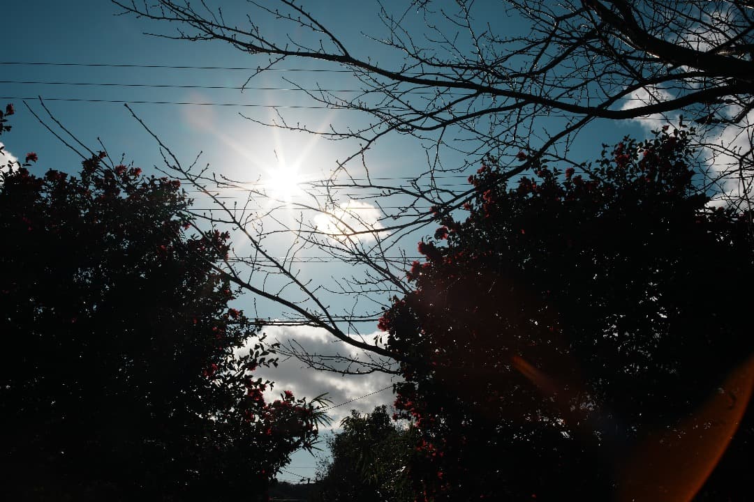 レンズ(ズーム) Carl Zeiss Vario-Sonnar 35-70mm F3.4 MMJ