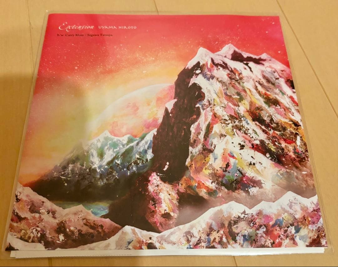 その他 Uyama Hiroto,Segawa/Extension,Carry More