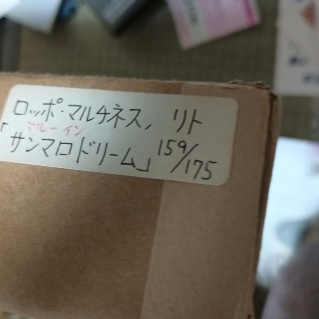 ロッポ・マルチネス　サンマロドリーム　　リトグラフ　159/175