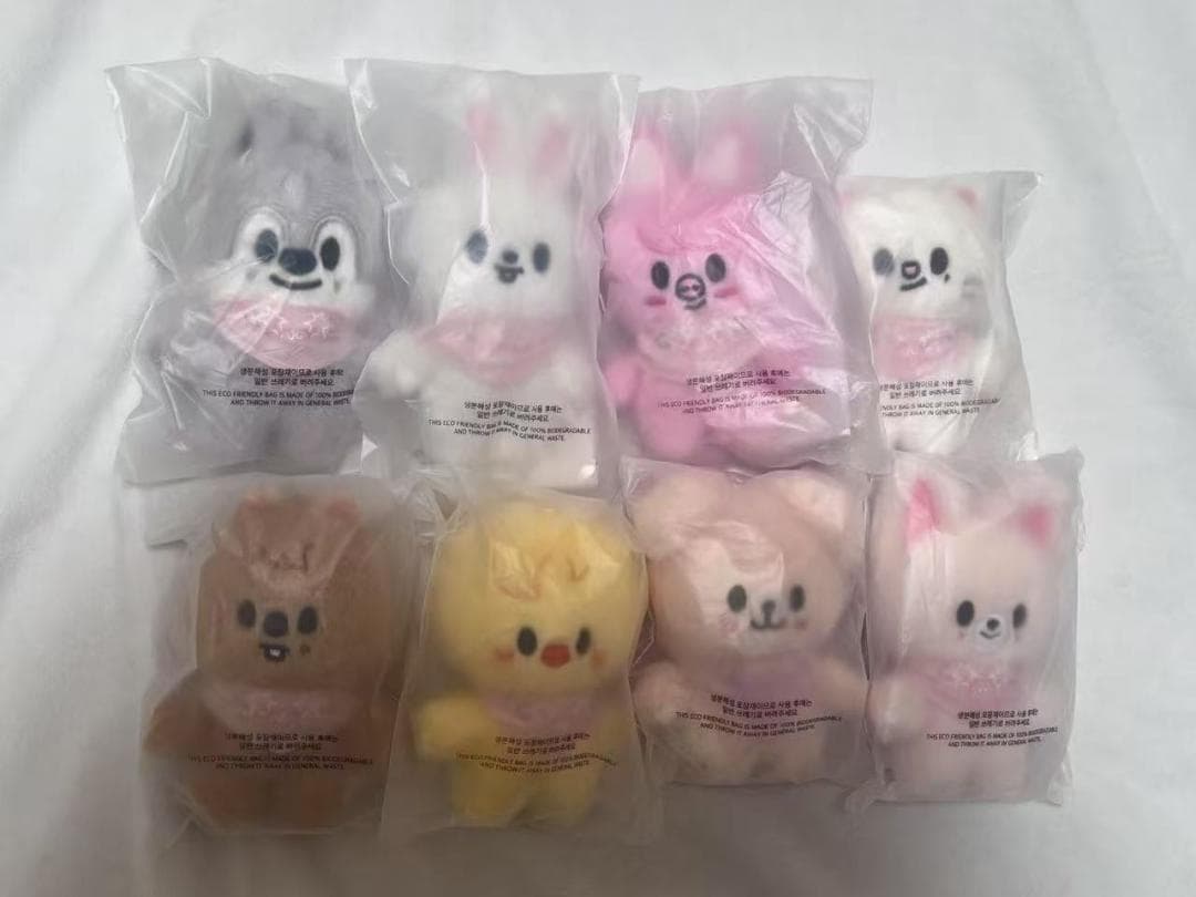 アイドル Stray Kids 5TH FANMEETING