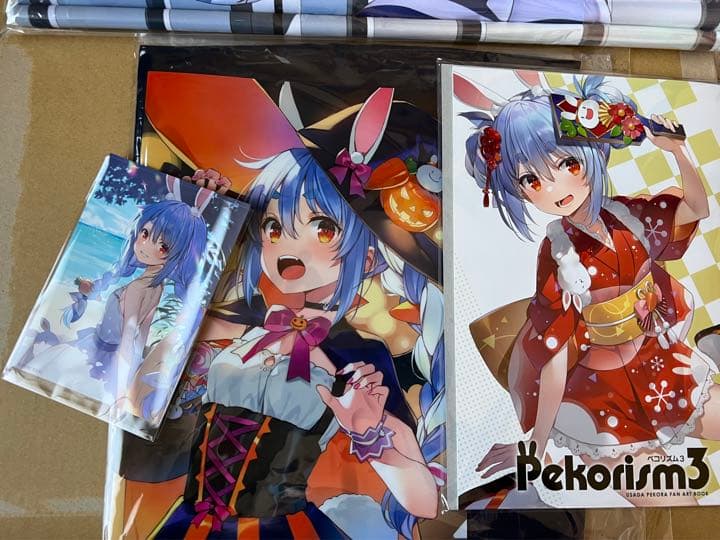 WIREFRAME 兎田ぺこら 新刊セット タペストリー C101 ホロライブ
