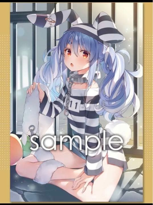 WIREFRAME 兎田ぺこら 新刊セット タペストリー C101 ホロライブ