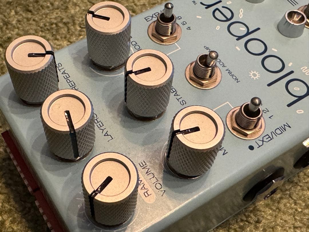 【極美品】Chase Bliss Audio blooper ルーパー