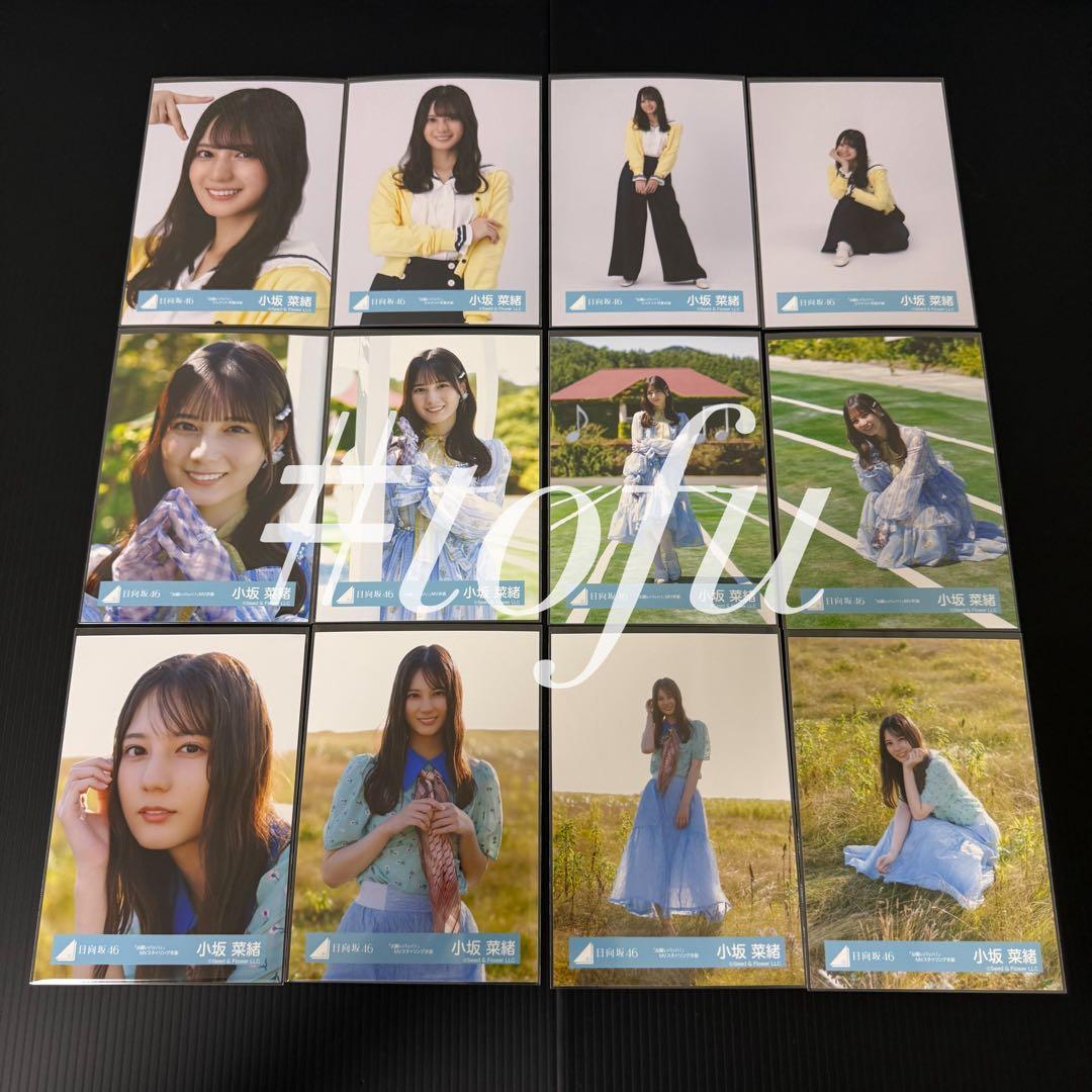 日向坂46 小坂菜緒 「お願いバッハ！」 生写真 12種コンプ