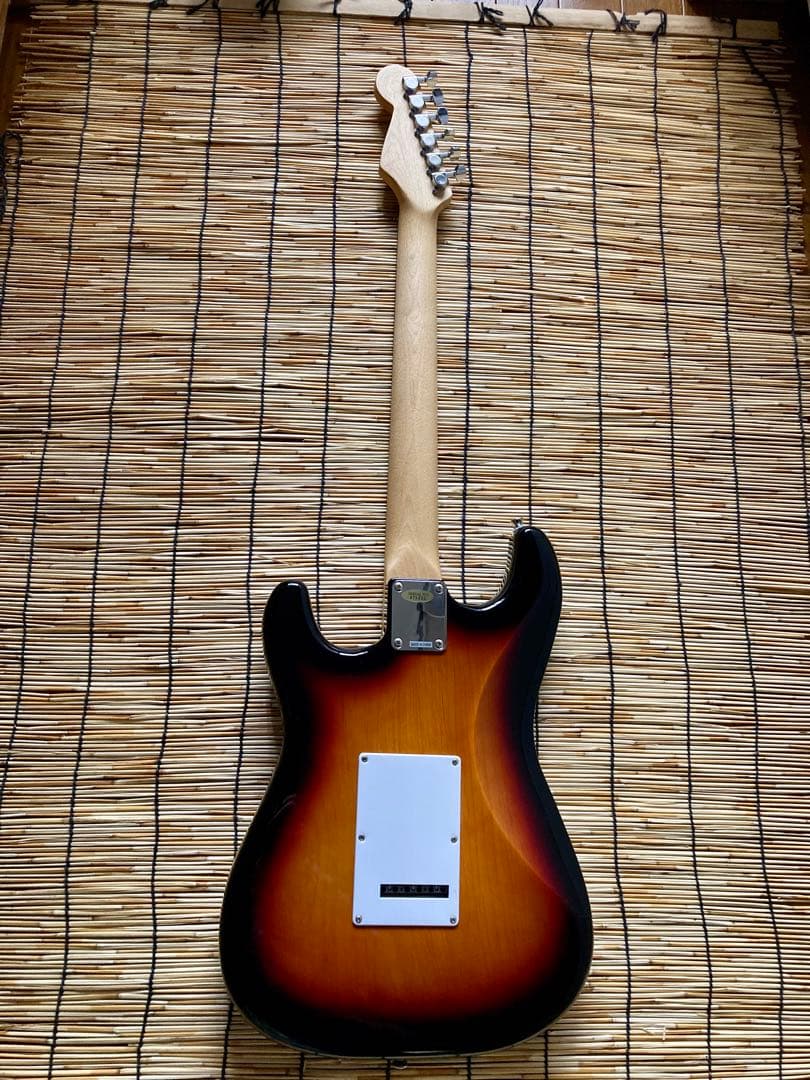 ☆新機能満載　3つのピックアップを多彩に組合せできるBUSKERS ST