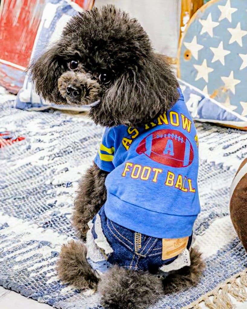 新品タグ付き　レース☆デニムPT 　asknowasdewan　アズノウアズデワ