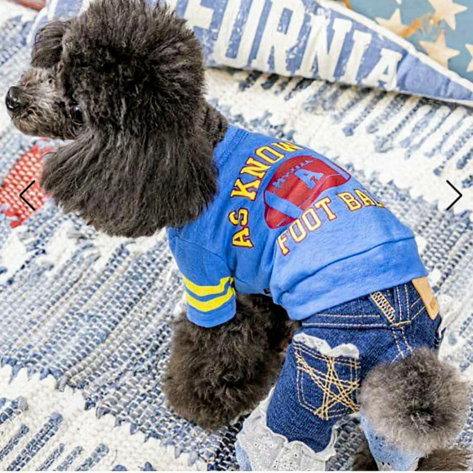 新品タグ付き　レース☆デニムPT 　asknowasdewan　アズノウアズデワ