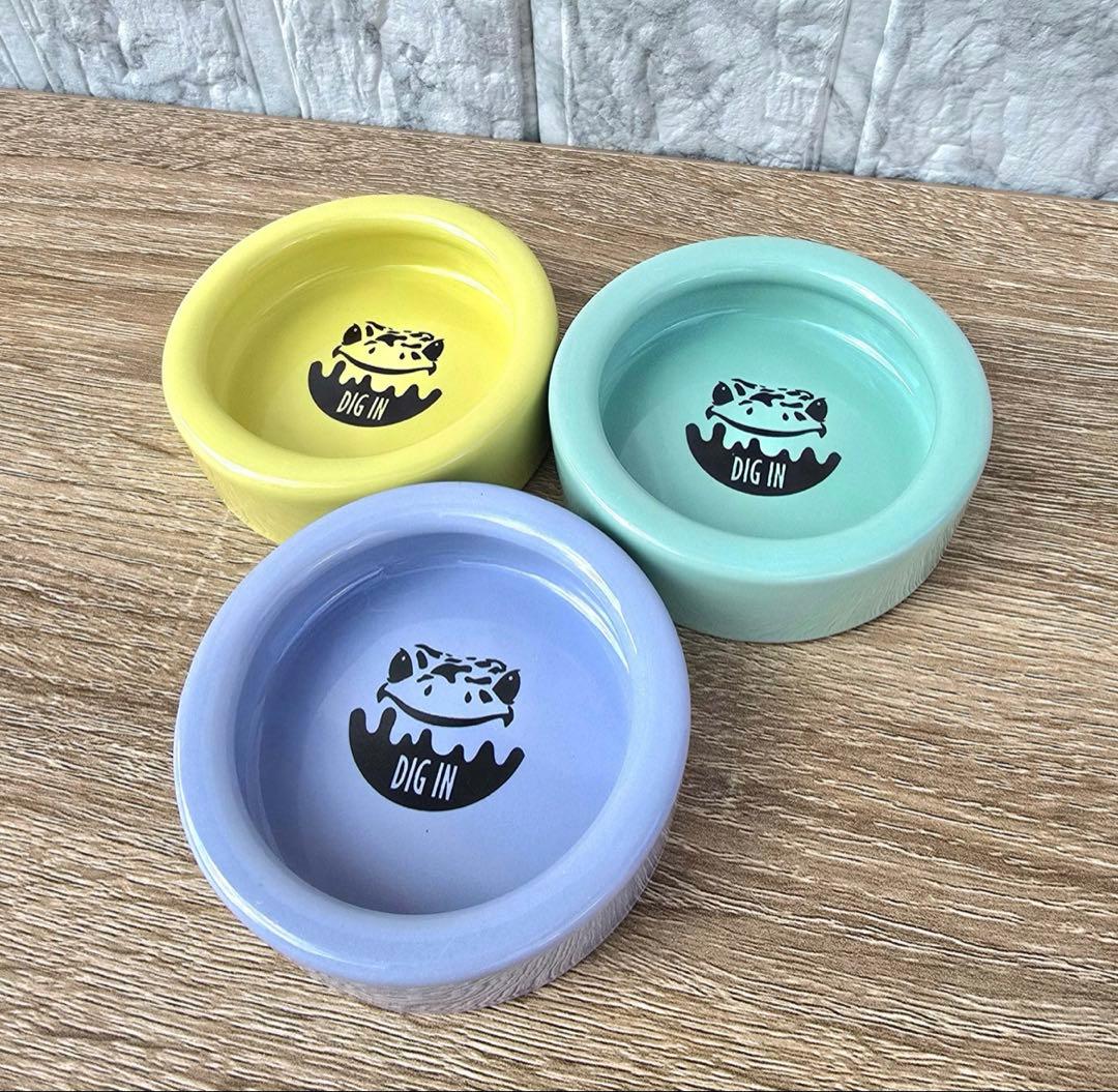 直接引き取り　グラステラリウム3030 爬虫類　飼育ゲージ　セット　レオパ