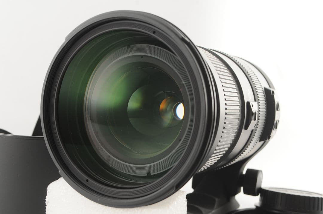 にゃんこじ SIGMA 50-500mm DG OS HSM キヤノン用