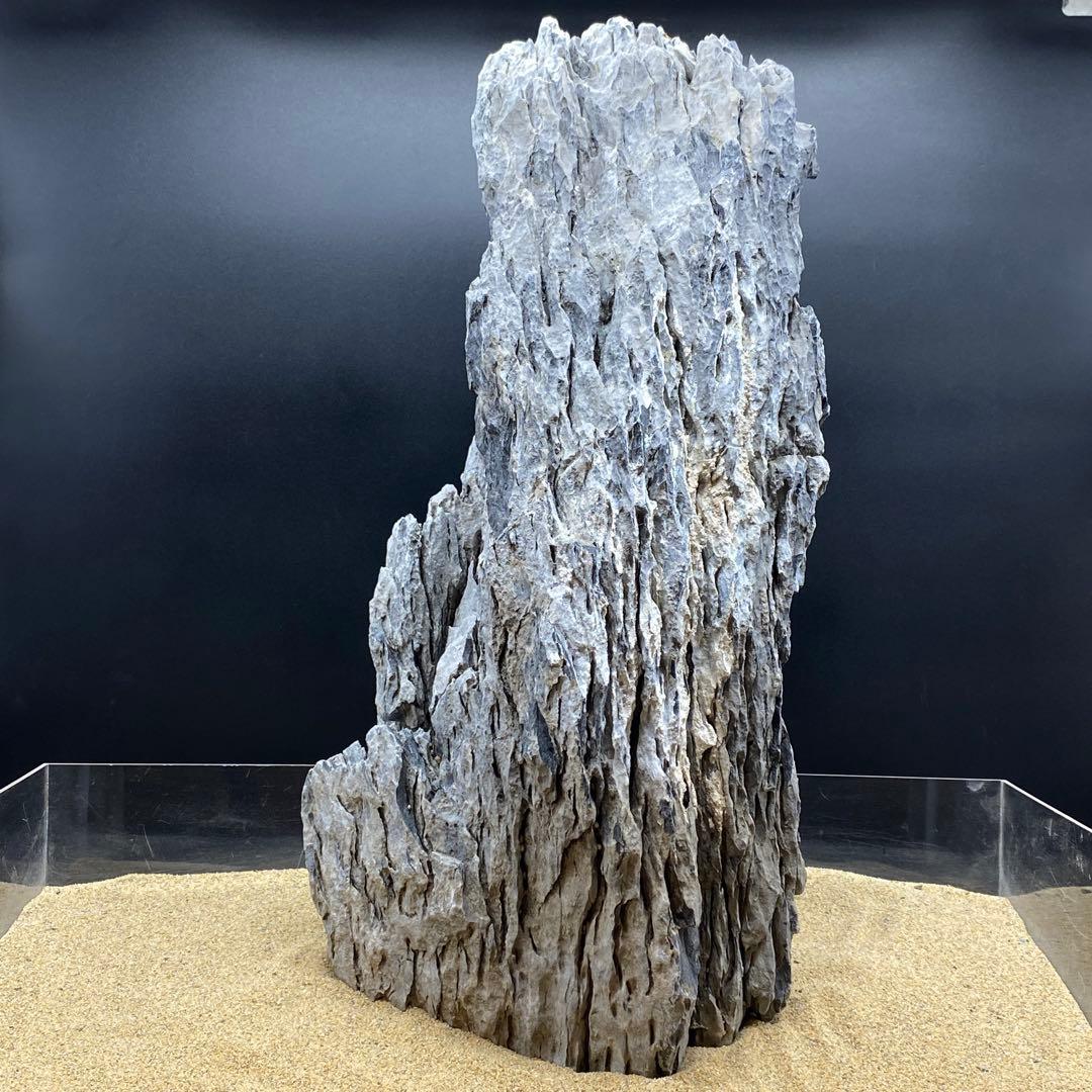 MSS-6642 特大セレクト品青龍石57cm親石　龍王石　竜王石