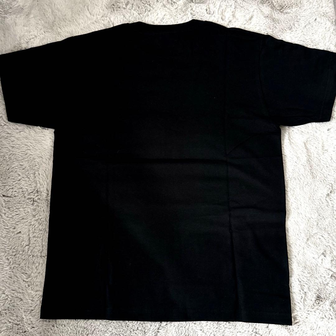 Pay money to my pain Stay RealツアーT M 未使用