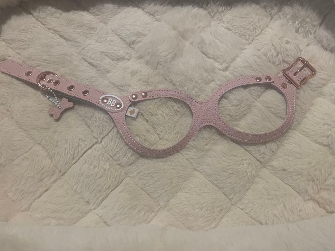 buddybelts 犬用ハーネス3.5 2026限定色BRUSH