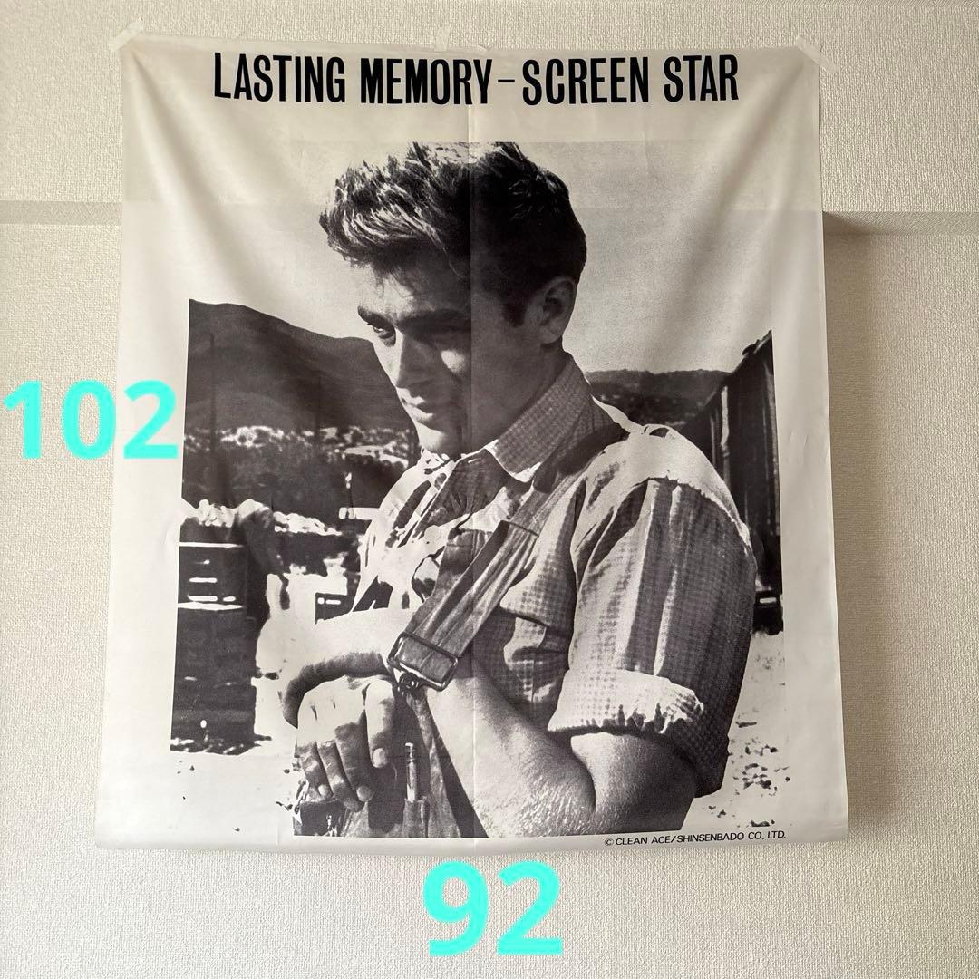 ジェームズ・ディーン　タペストリー