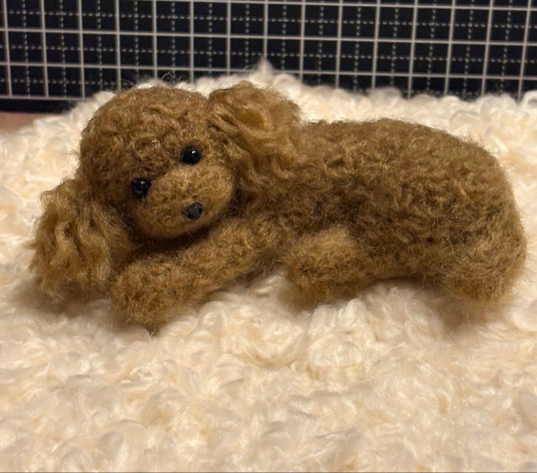 羊毛フェルト 毛糸 トイプードル（遊んだ後のリラックスタイム）❣️
