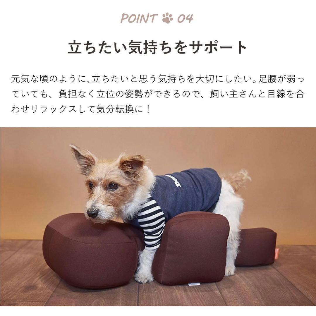 アロンカセイ リラクッション DM ブルー