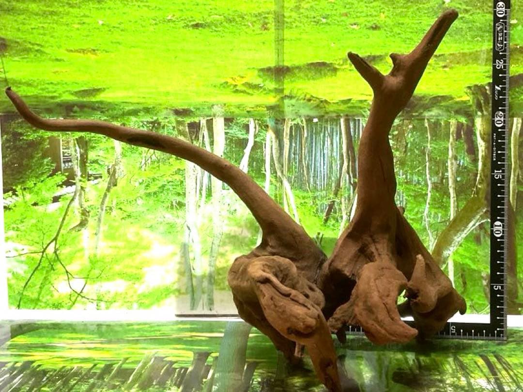 モスキート4点 天然水槽用流木