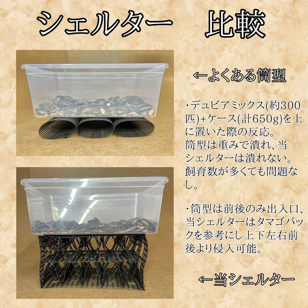 「M様　シェルター (M)×2」