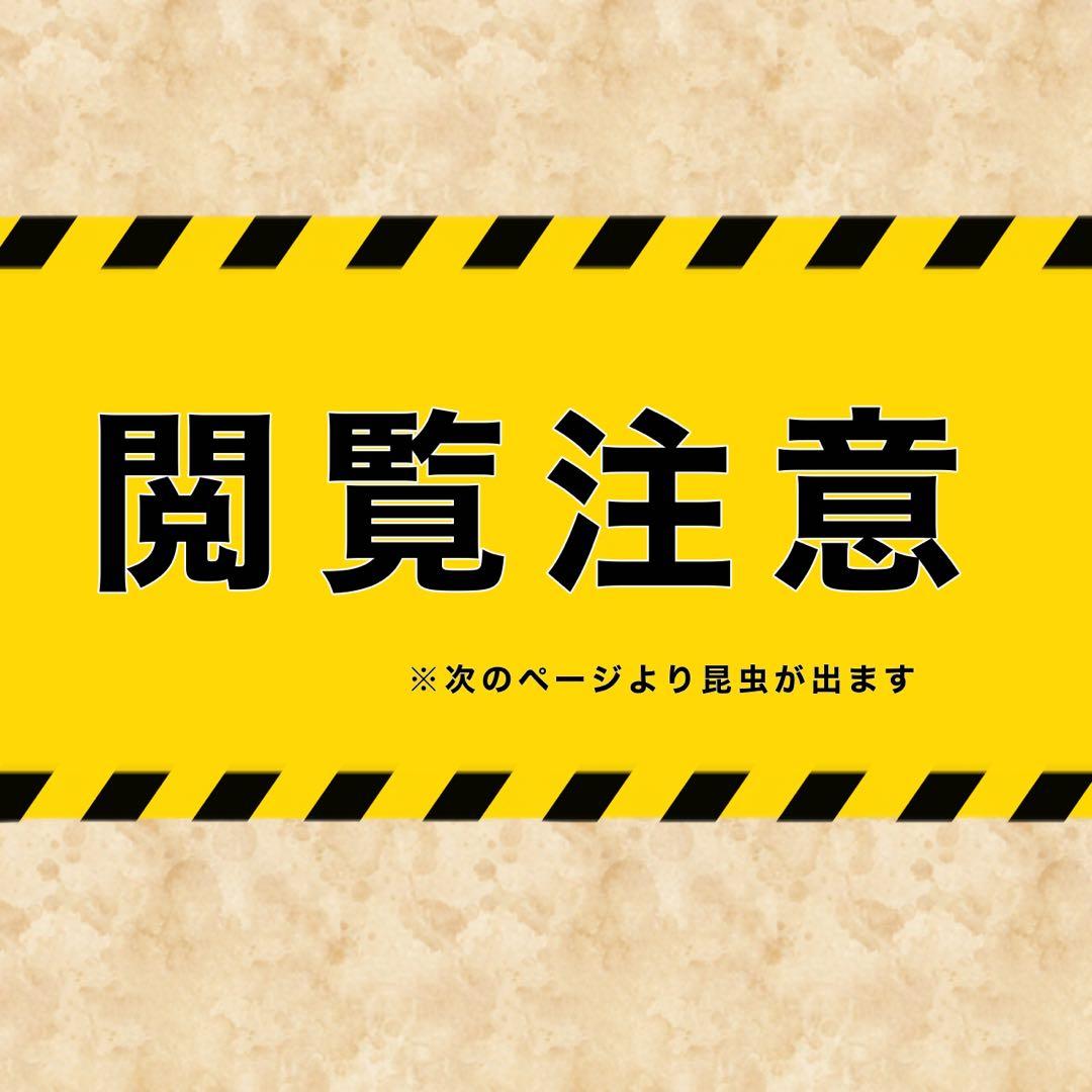 「M様　シェルター (M)×2」