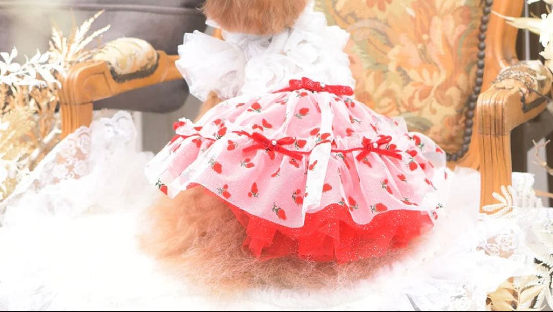 リュクスバーディLuxe birdieルージュワンピースバレッタセット犬服レッド