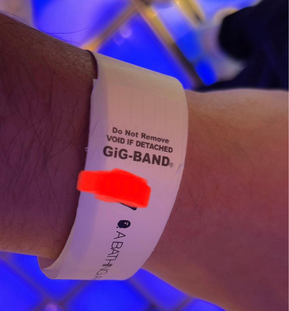 BAPE×MINIGT×LIBERTYWALK 6台セット