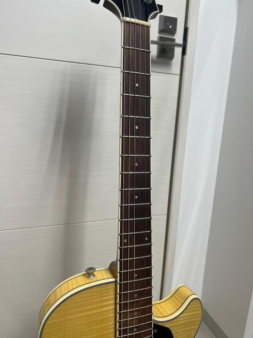 最終値下げ Sadowsky Semi Hollow Vintage Amber
