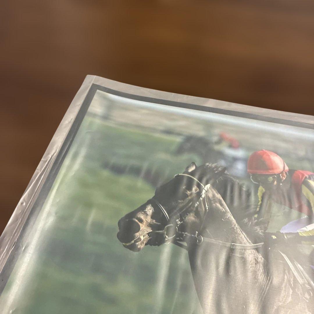 第147回天皇賞（春） フェノーメノ