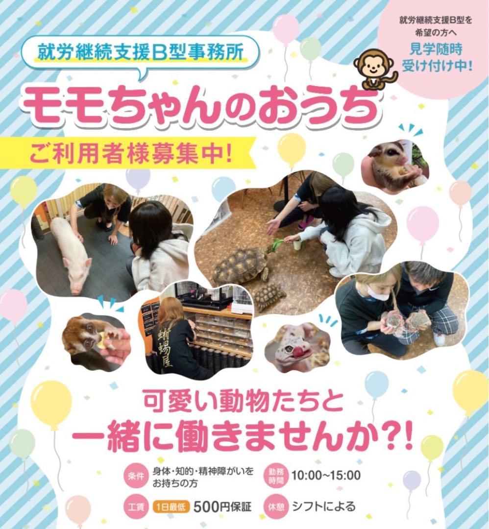 冷凍ラット60g〜70g 50匹セット！