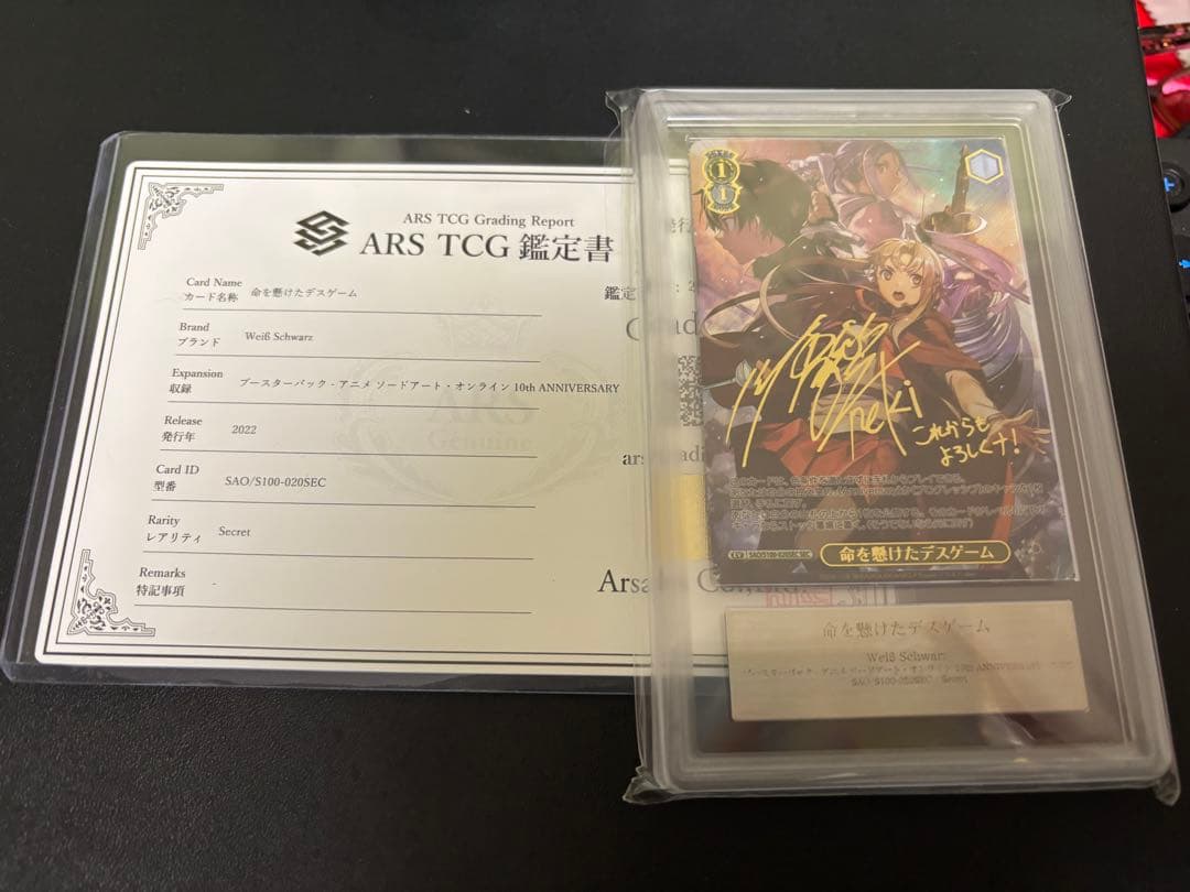 ヴァイス SAO 命を懸けたデスゲーム SEC ARS10