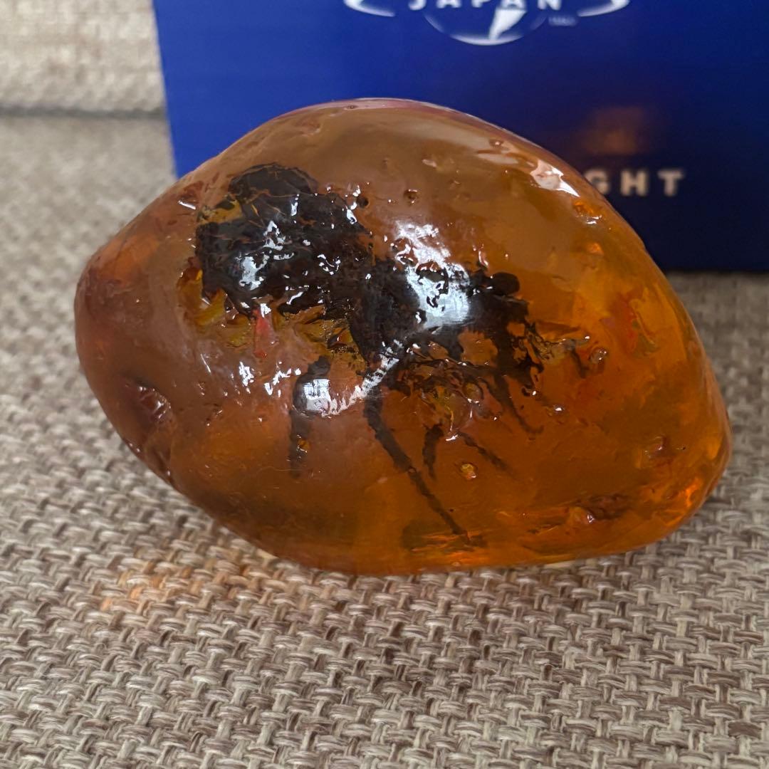 ジュラシックパーク/琥珀型 ペーパーウェイト