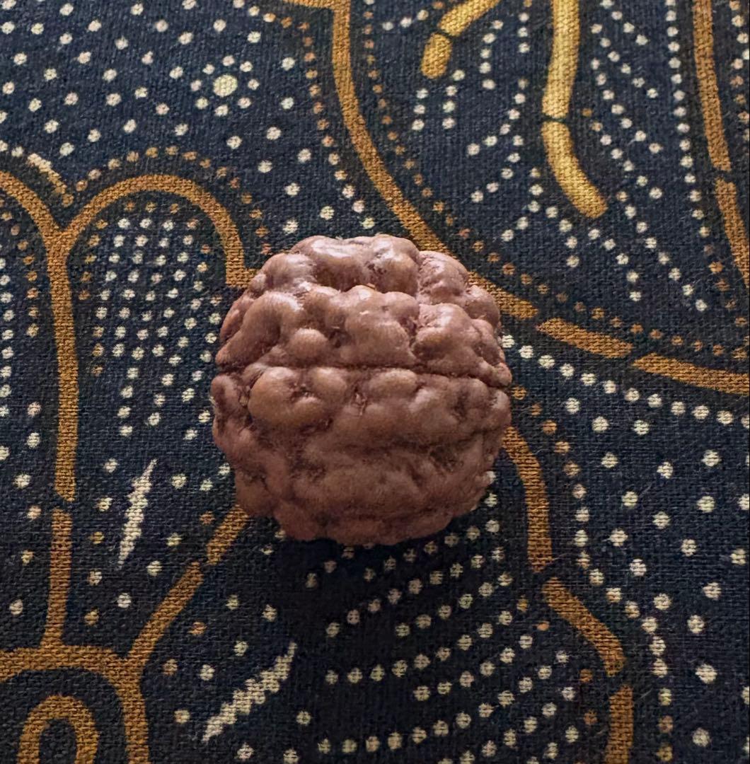 ねこりん　ルドラクシャマーラー　オール2ムキ