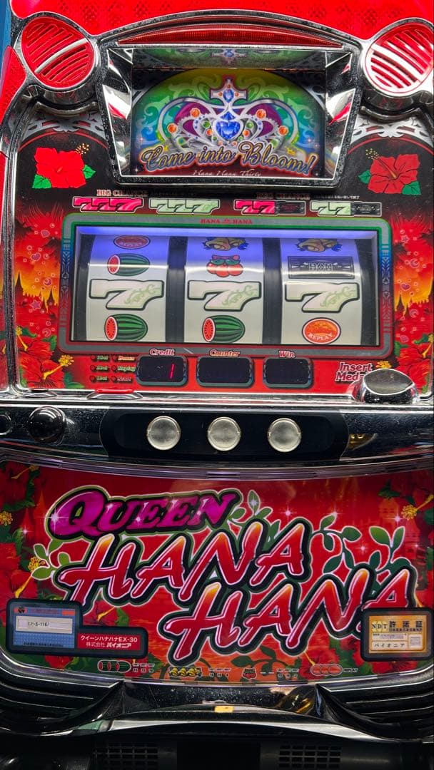 パチスロ実機 クイーンハナハナ 家庭用電源
