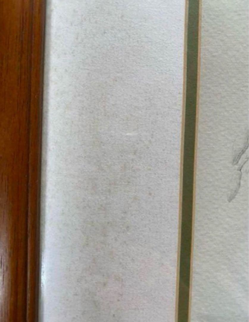 英国　Kew Garden オーキッドのスケッチのプリント木製フレ入り付き