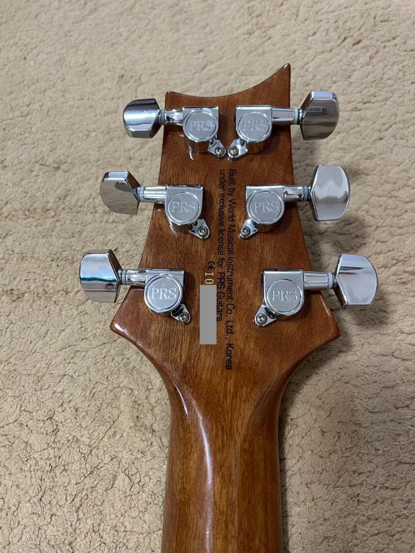 【希少】PRS SE Cnstom 22 セミホロウ　P-90タイプ