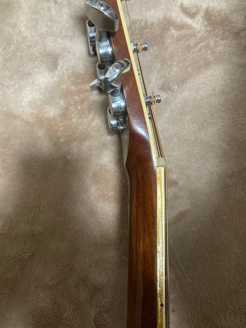 L.R Baggs Anthem SL？搭載!　Morris W-28