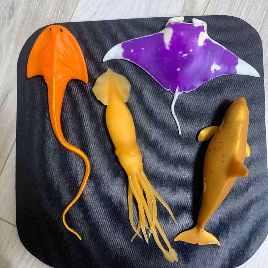 くじら　&co 16点　ブックレット デアゴスティーニ　アンドコ　コンプリート