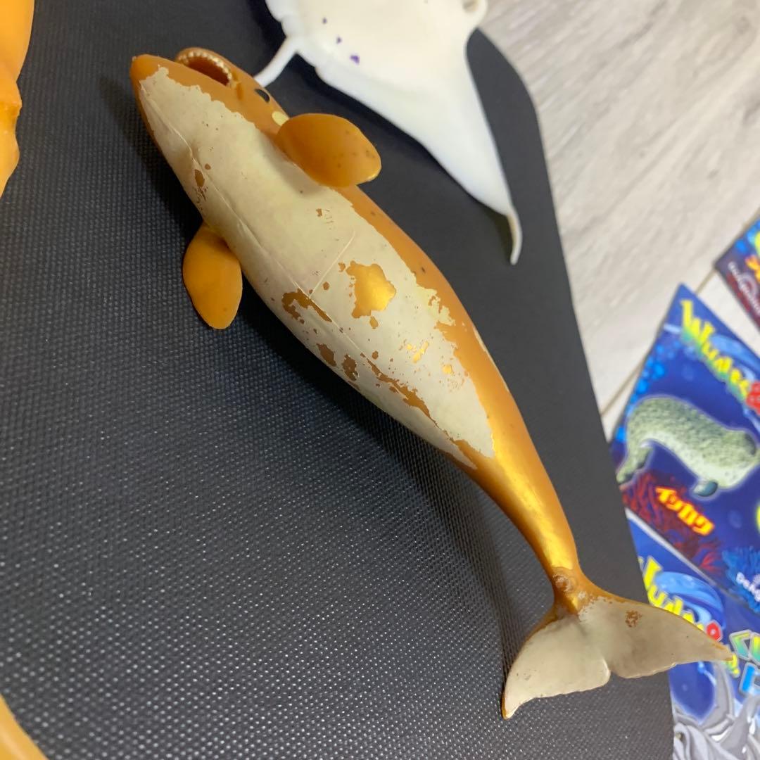 くじら　&co 16点　ブックレット デアゴスティーニ　アンドコ　コンプリート