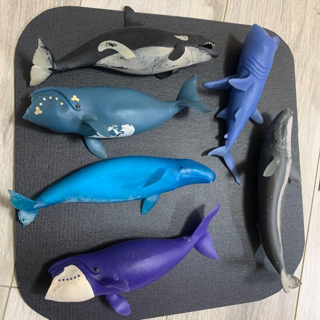 くじら　&co 16点　ブックレット デアゴスティーニ　アンドコ　コンプリート