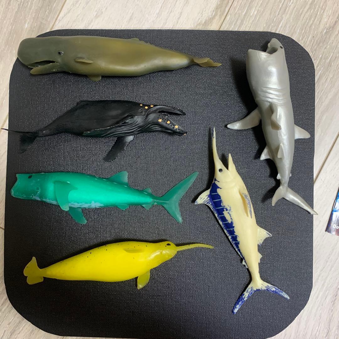 くじら　&co 16点　ブックレット デアゴスティーニ　アンドコ　コンプリート