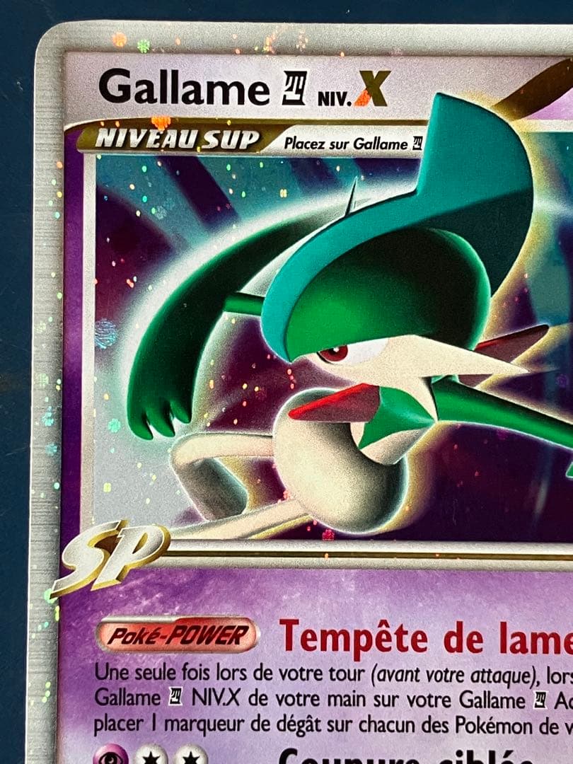 Gallame NIV. X 106/111 フランス語