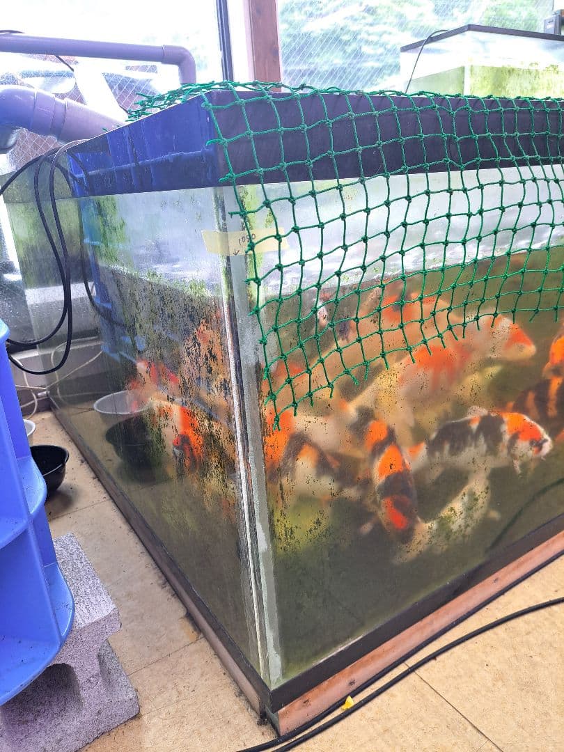 引取限定　大型中古アクリル水槽