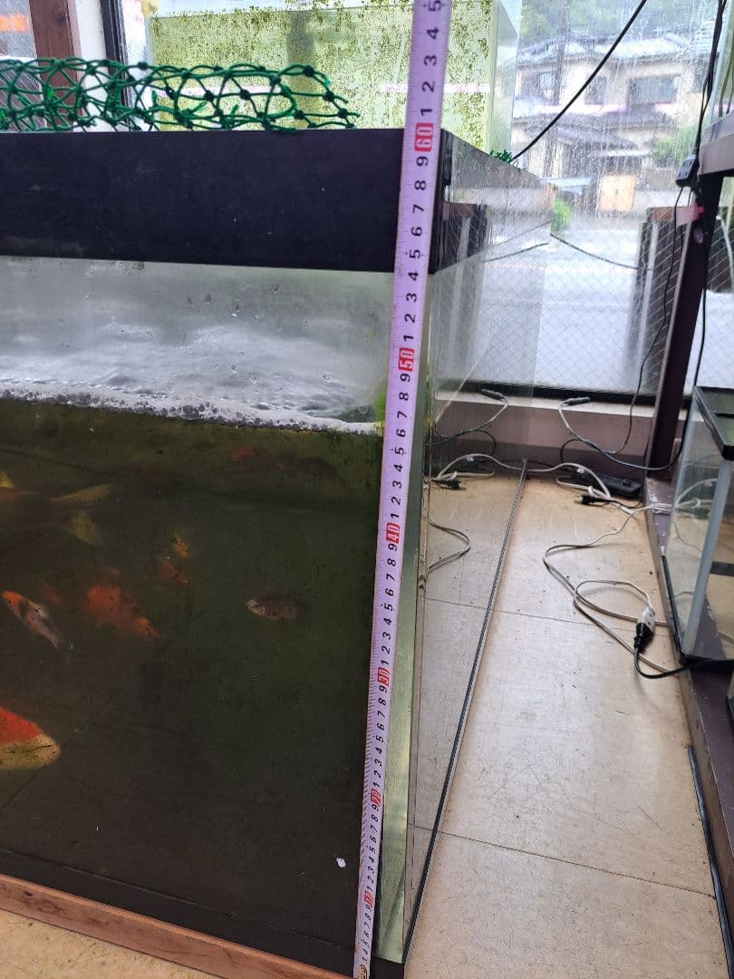 引取限定　大型中古アクリル水槽