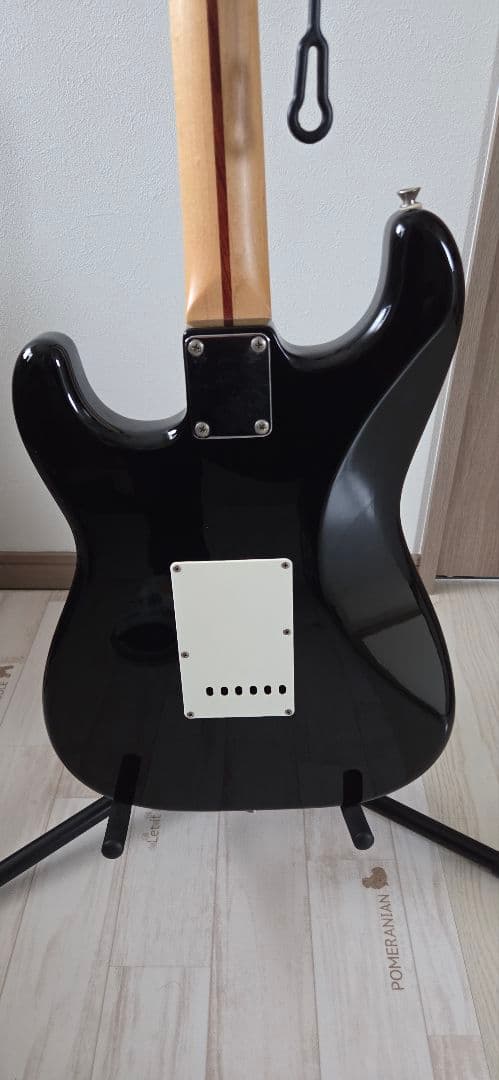 FGN j-standard ストラト