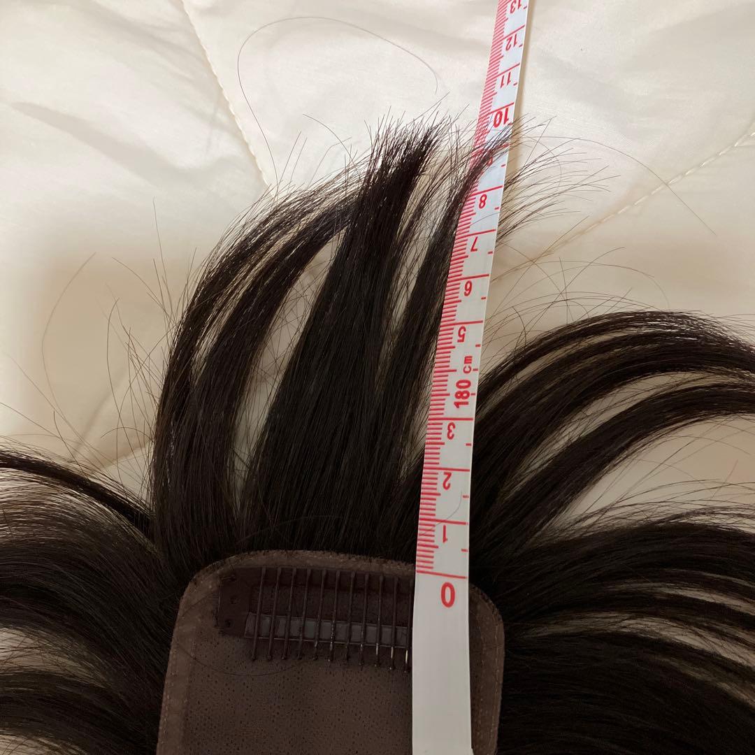 フォンテーヌ ウィッグ バランプレミアム VPE03 F4