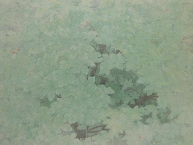 渡辺信喜、【無花果】、希少な額装用画集より、新品額装付