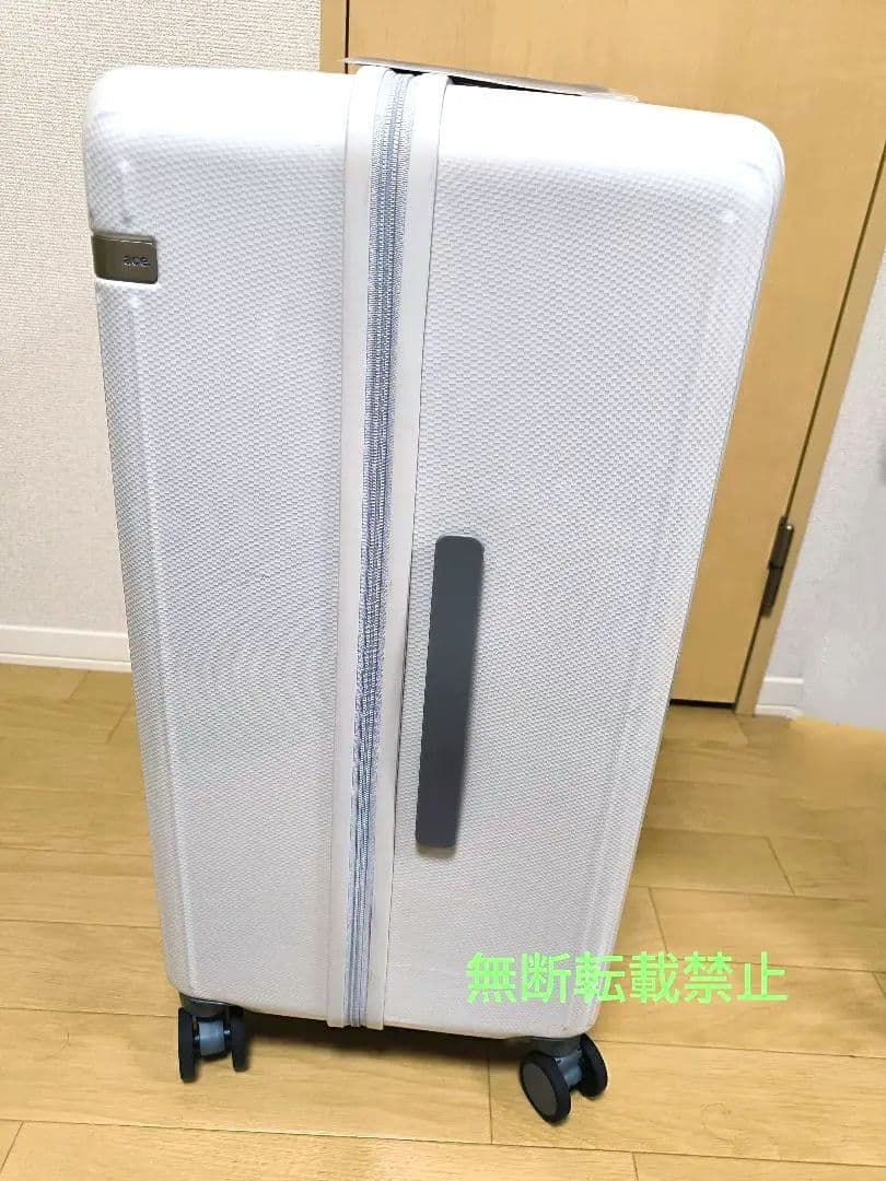 【値下げ】ace パリセイド3-Z 100L