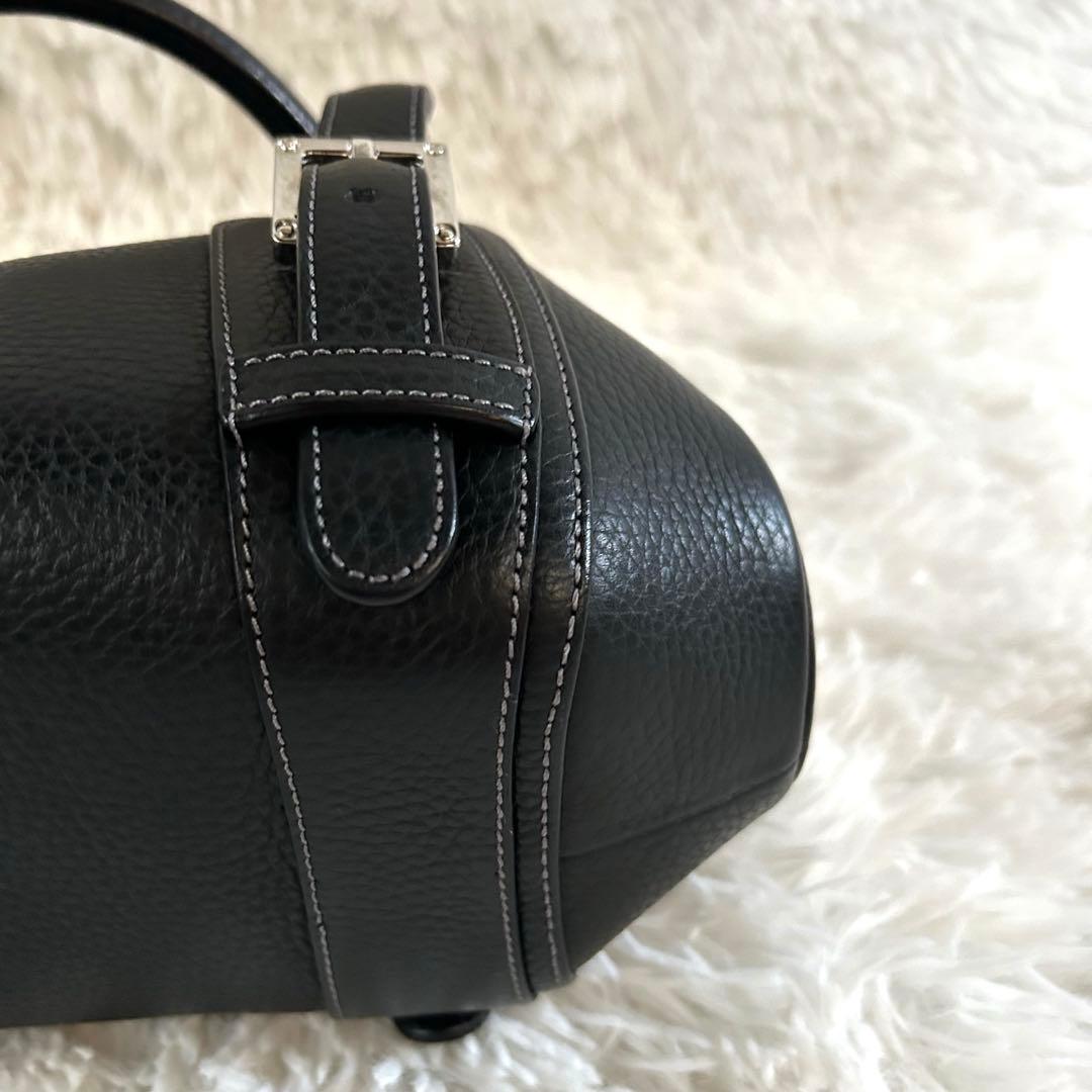 レア＊未使用級✨ロエベ ハンドバッグ センダ シボ革 レザー 肩掛け可 黒
